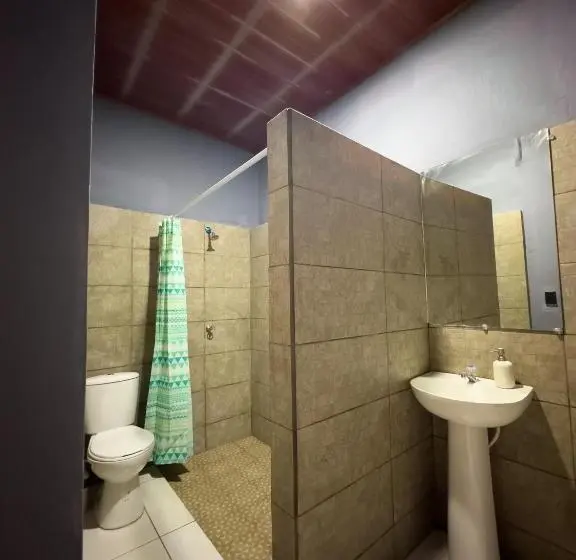 اتاق استاندارد سه نفره, Madroño Hostel