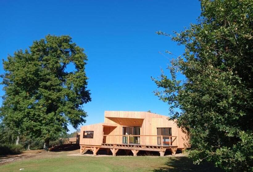 Номер Superior, Lodge Dune Avec Jacuzzi