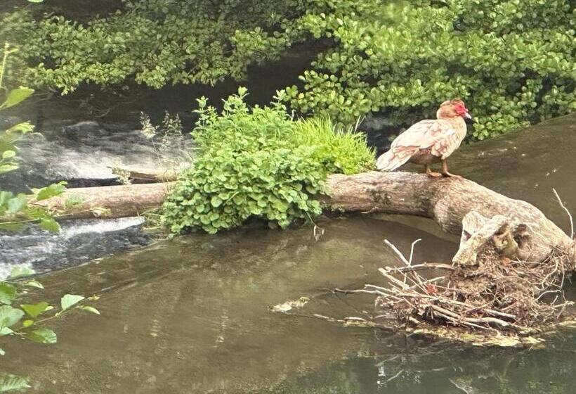 스탠다드 룸 킹사이즈 침대, Eden De Roques