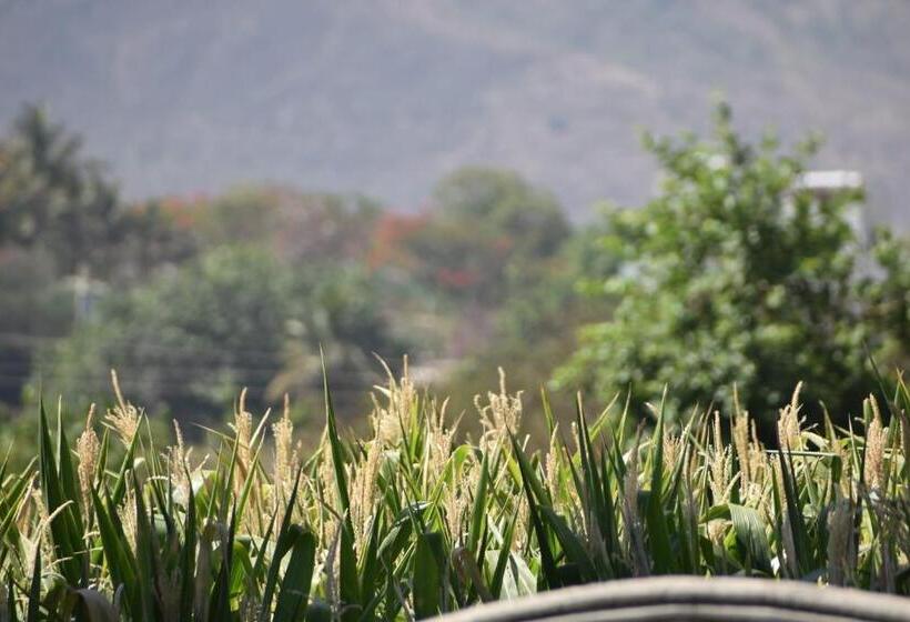 غرفة عائلية مطلّة علي الحديقة, Green Orchid Resort And Farm