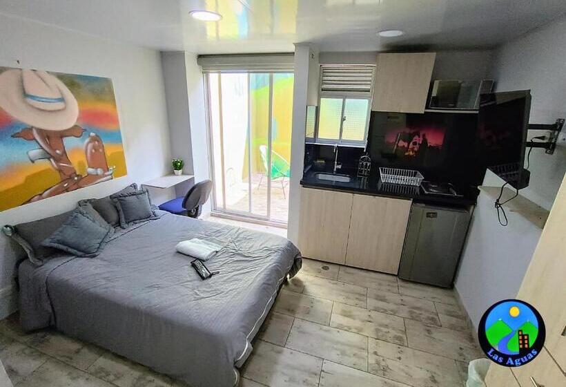 Студио Стандарт с Террасой, Las Aguas Studios