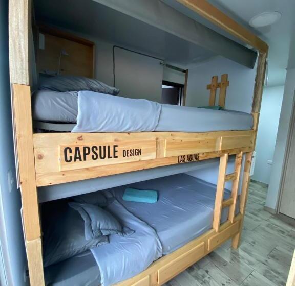 Семейное Студио, Las Aguas Studios