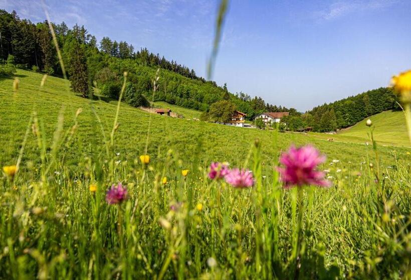 Апартаменты 1 Спальня с Балконом, Wieserhof