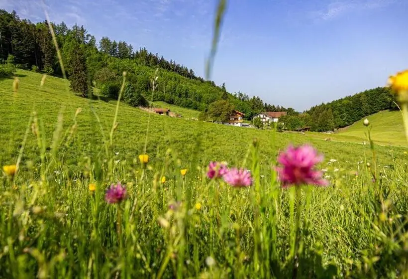 バルコニー付き１ベッドルームアパートメント, Wieserhof