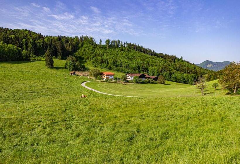 Апартаменты 1 Спальня с Балконом, Wieserhof