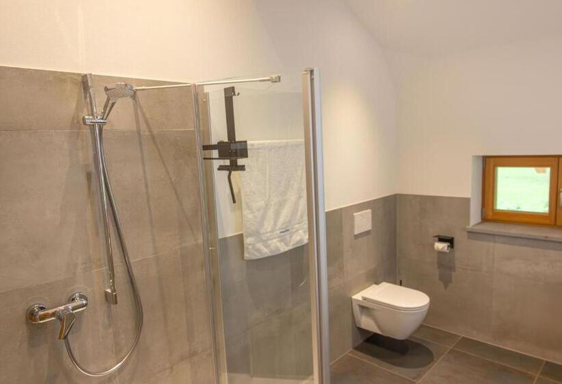 Апартаменты 1 Спальня с Балконом, Wieserhof