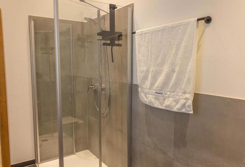 Апартаменты 1 Спальня с Балконом, Wieserhof