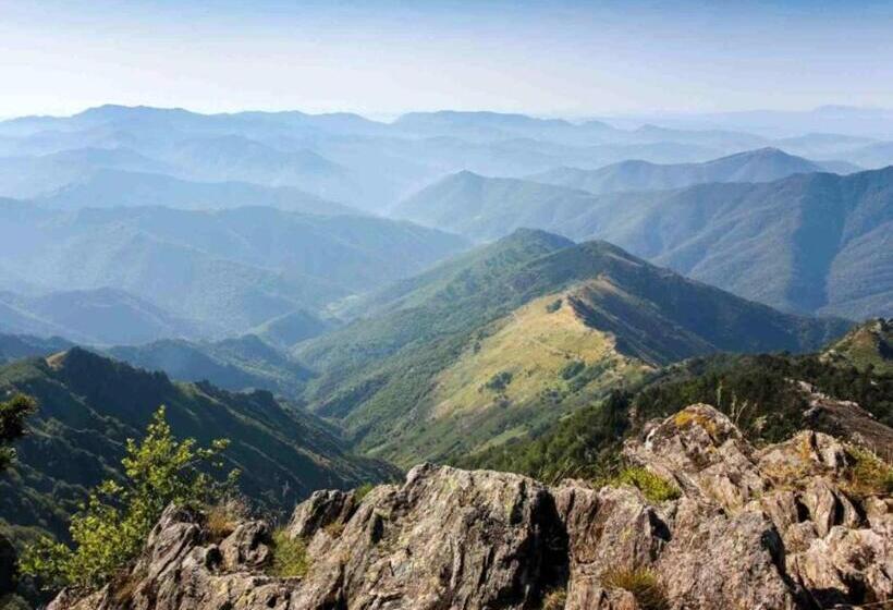 Номер Стандарт с Террасой, La Bouletière