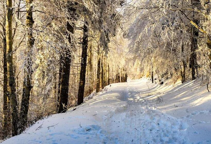 Номер Стандарт с Террасой, La Bouletière