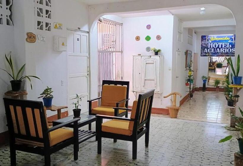 חדר סופריור, Acuarios