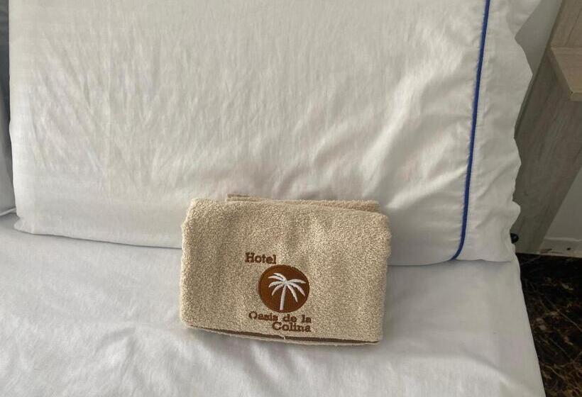 豪华套房, Deluxe Oasis De La Colina Boutique