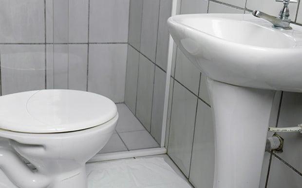 Номер Стандарт, Renata Tubarão