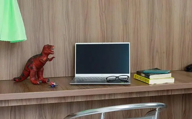 デラックストリプルルーム, Renata Tubarão