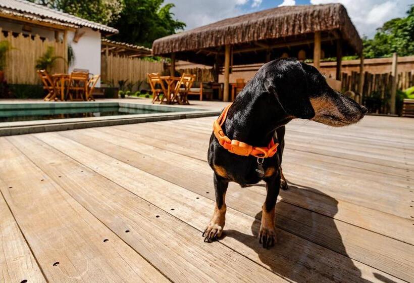 デラックススイート, Vila Inca