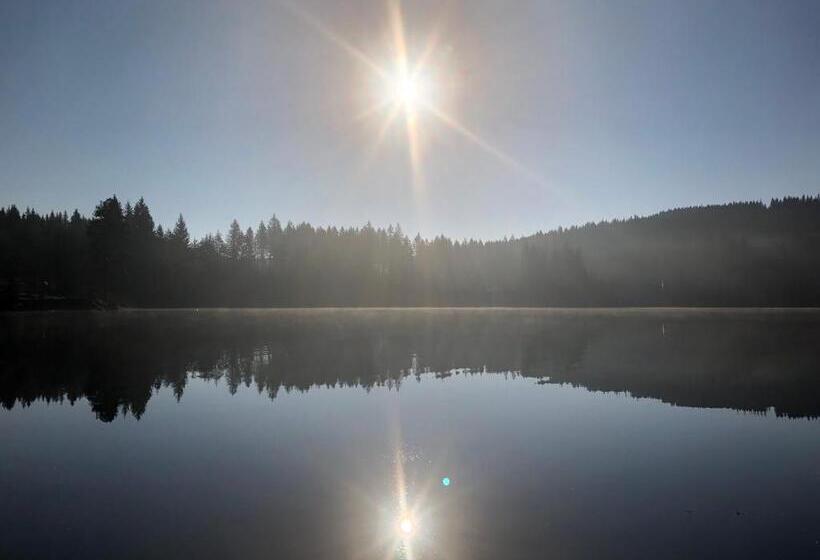 带大床的标准间, Forest Apartment Mountain Escape Menzenschwand