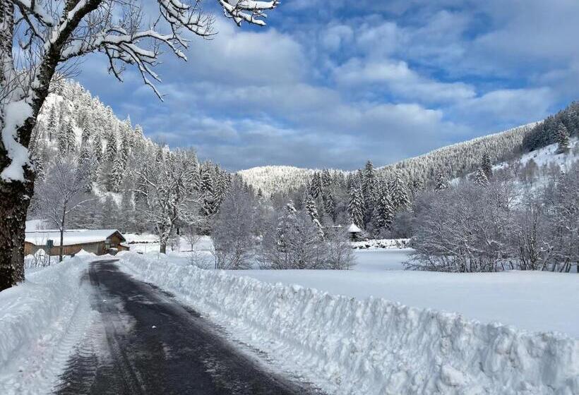 Стандартный Номер Кровать Кинг, Forest Apartment Mountain Escape Menzenschwand