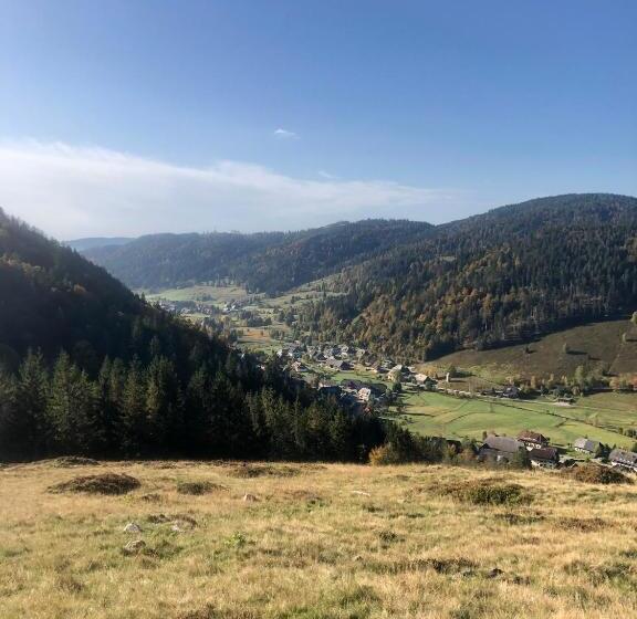 带大床的标准间, Forest Apartment Mountain Escape Menzenschwand