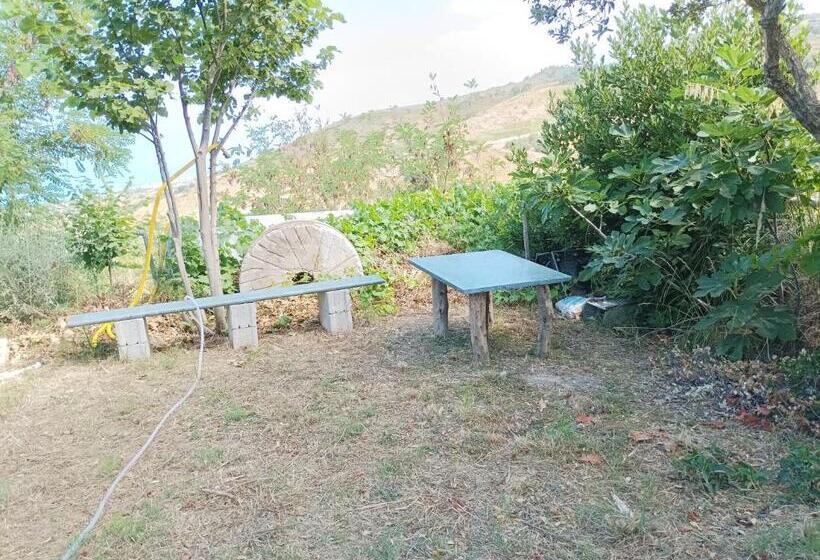 غرفة قياسية, Palapico