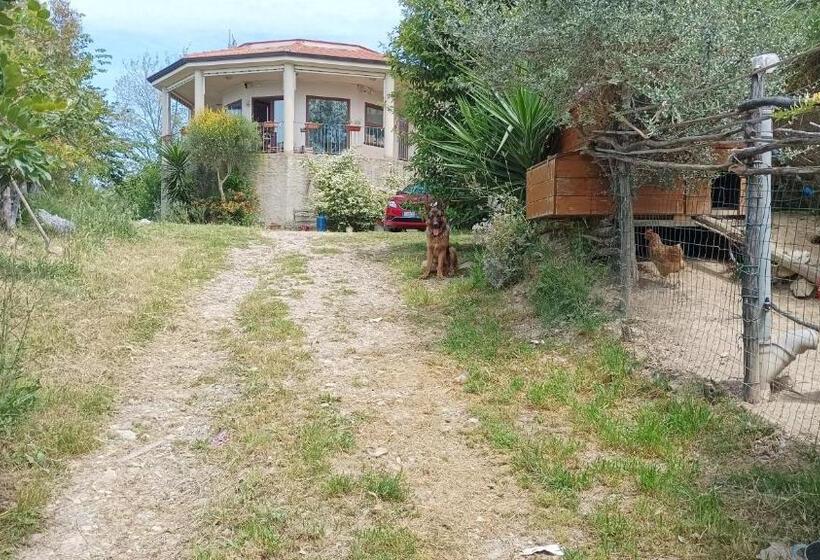 غرفة قياسية, Palapico