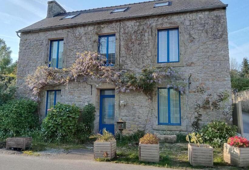 스탠다드 룸, Pikou Panez