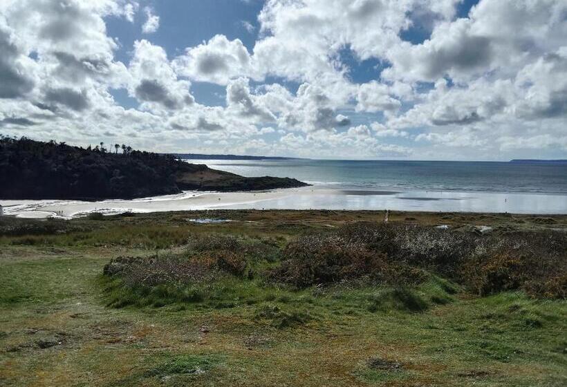 스탠다드 룸, Pikou Panez