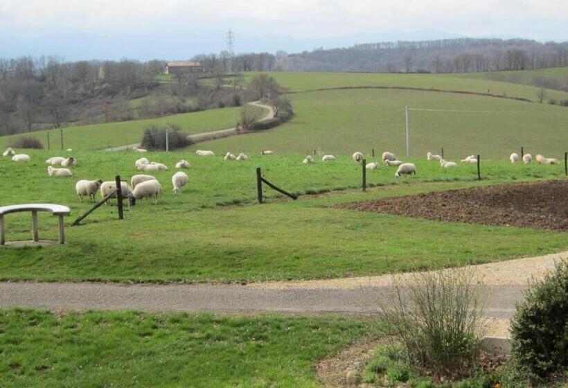 スタンダードルーム, La Ferme Du Bascou