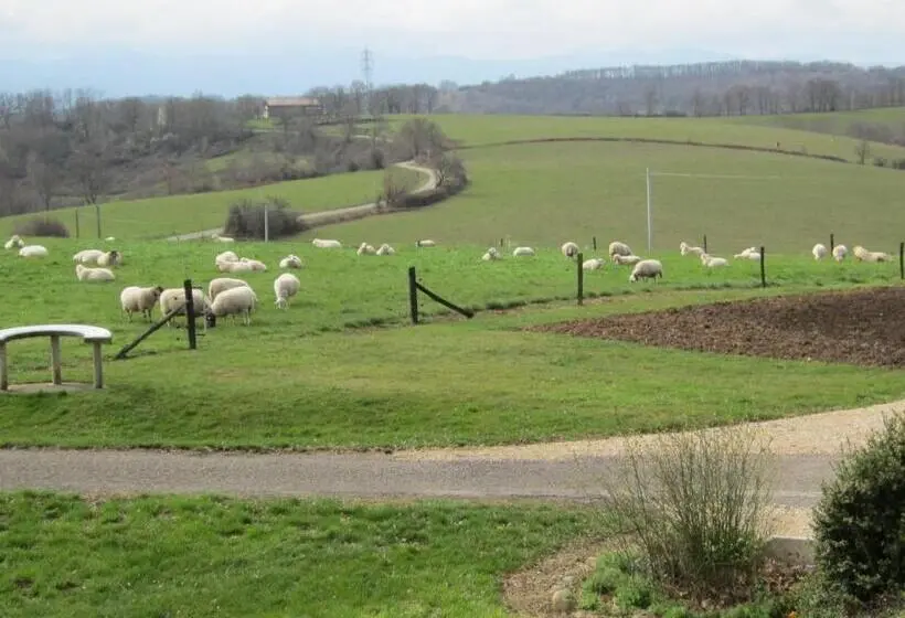 スタンダードルーム, La Ferme Du Bascou