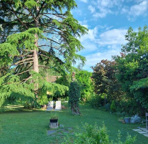 סוויטה נוף לגינה, Rue Du Château