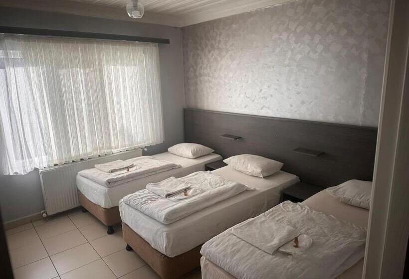 Estudio Estàndard, Güneş Pansiyon