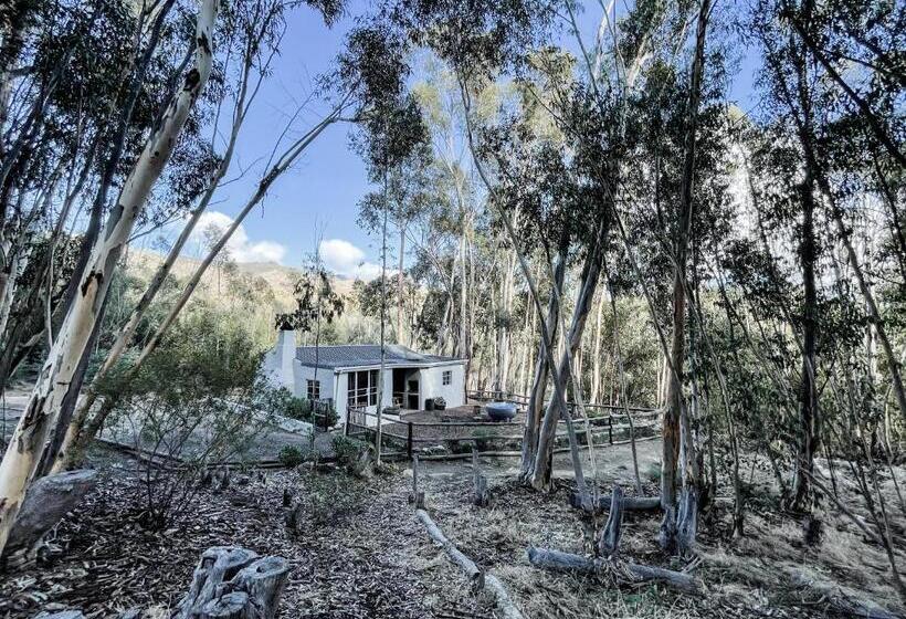 Дом 2 Спальни, Wonder Farm Stay