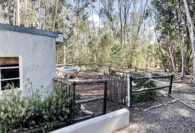 Дом 2 Спальни, Wonder Farm Stay