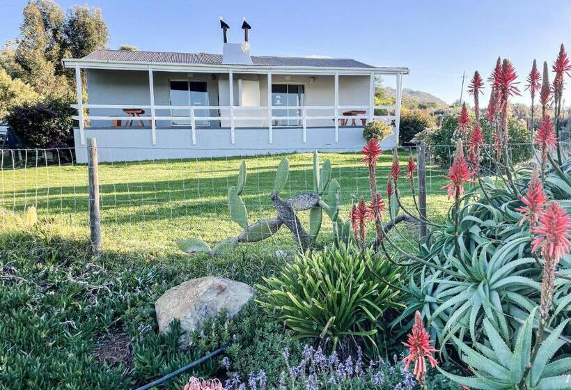 Шале Superior 1 Спальня, Wonder Farm Stay