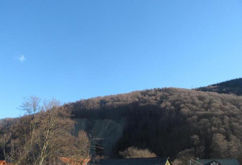 آپارتمان 1 خوابه, U Bogdana