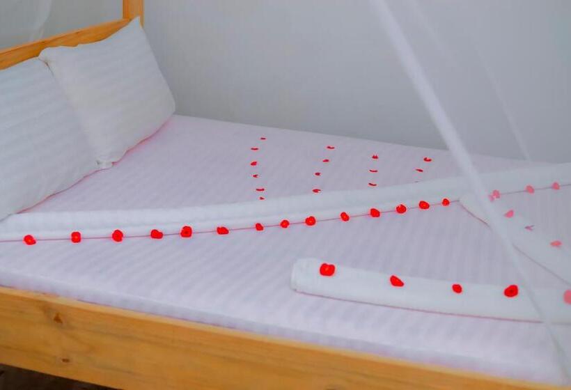 اتاق استاندارد, Raha House