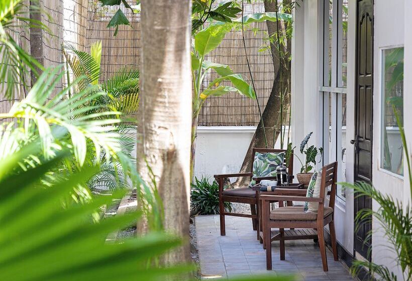 スタンダードルーム, Babel Boutique