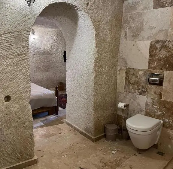 スーペリアールーム, Library Cave House