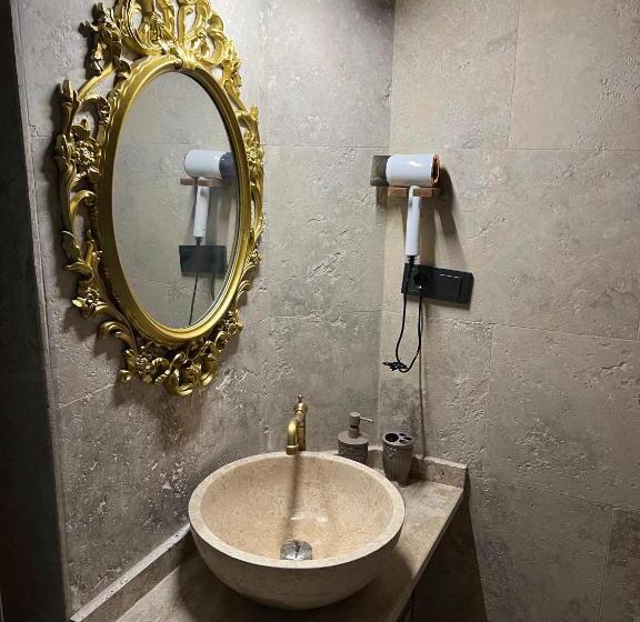 豪华房间, Library Cave House