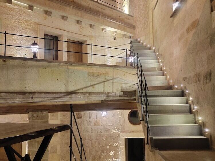 豪华房间, Library Cave House