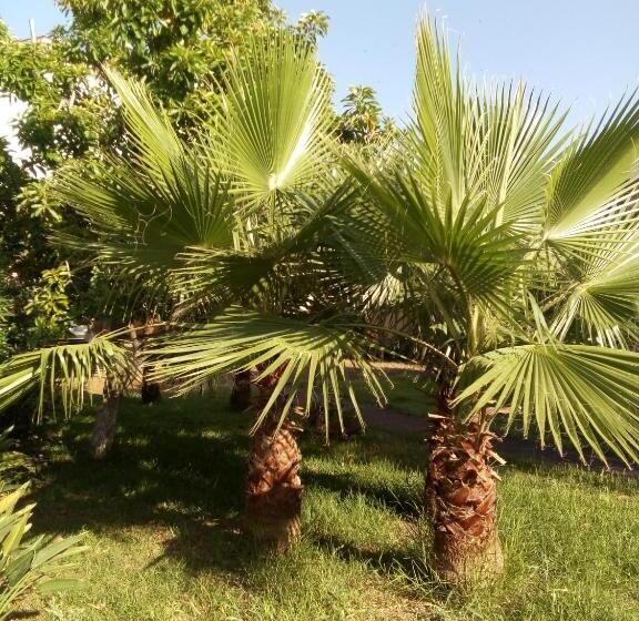 דירת חדר, Residence Santa Maria Suites