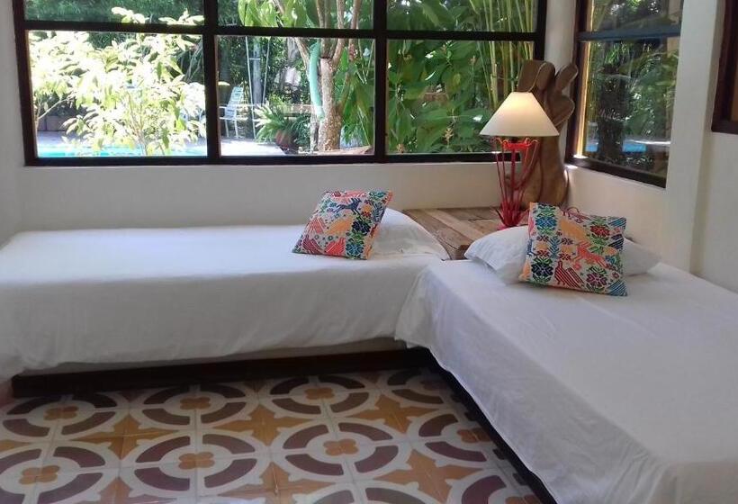 스탠다드 방갈로, Casa Kin33