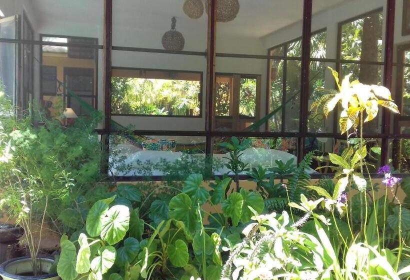 스탠다드 방갈로, Casa Kin33