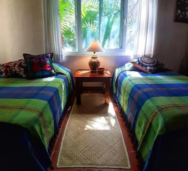 اتاق خانوادگی, Casa Kin33