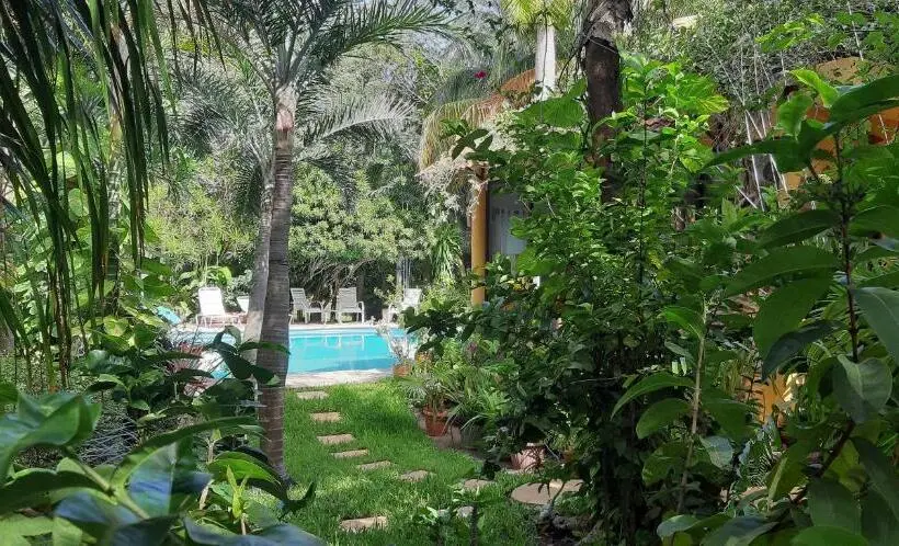 اتاق خانوادگی, Casa Kin33