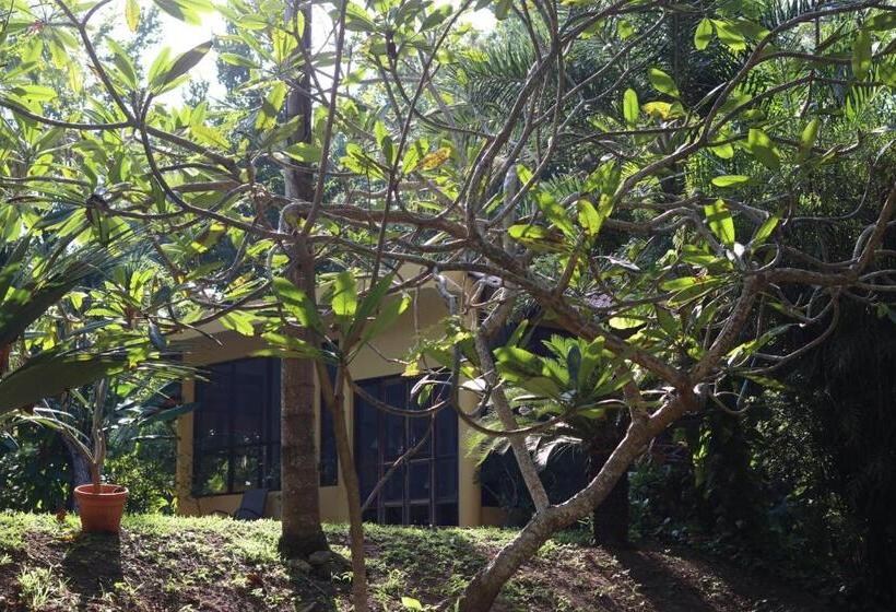 스탠다드 트리플 룸 가든 전망, Casa Kin33