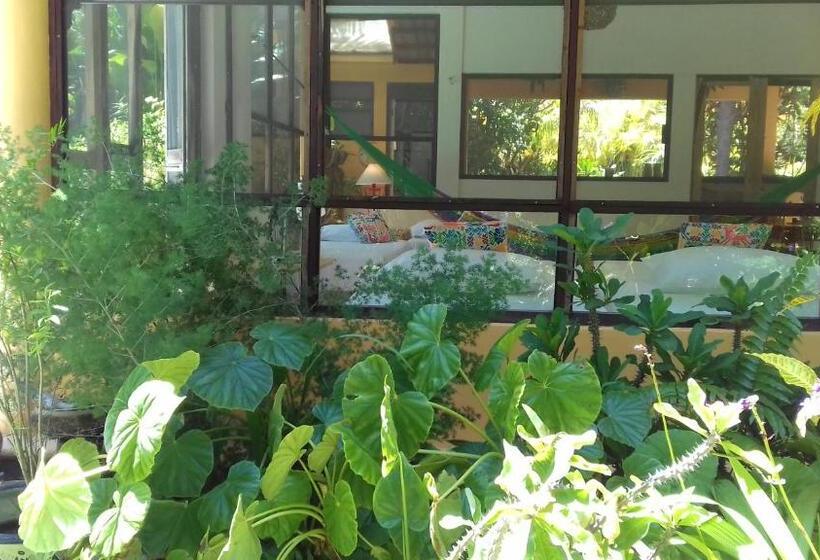 스탠다드 방갈로, Casa Kin33