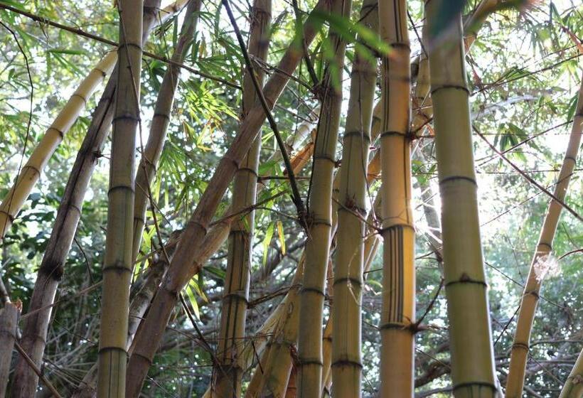 스탠다드 방갈로, Casa Kin33