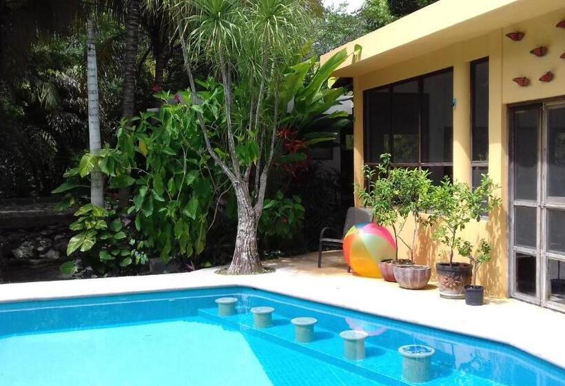 스탠다드 방갈로, Casa Kin33