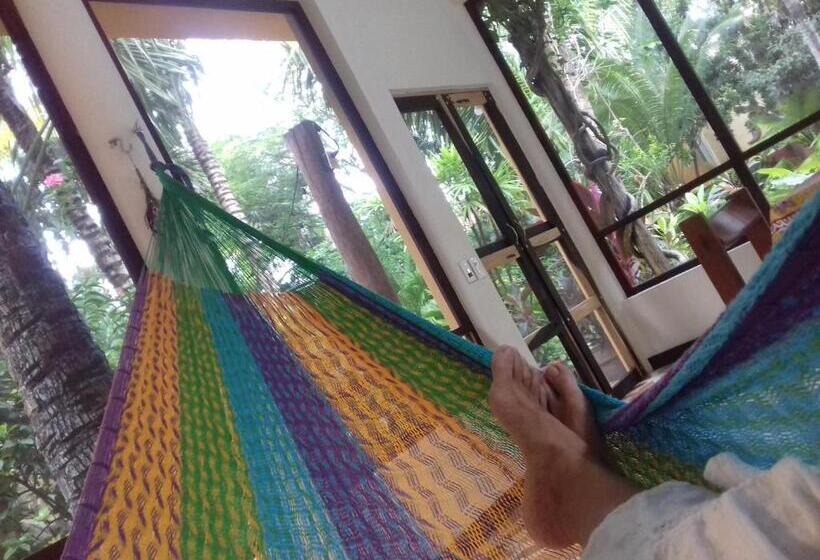 스탠다드 방갈로, Casa Kin33