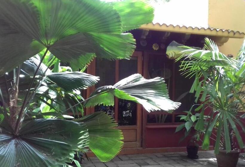 패밀리 룸, Casa Kin33