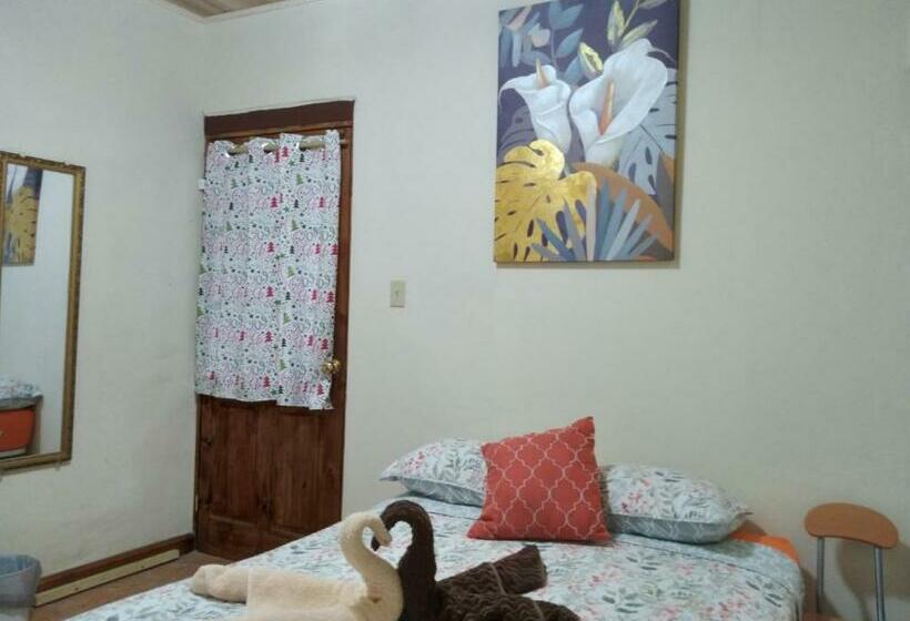 اتاق استاندارد, Creadora